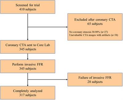 Diagnostic Performance of CT FFR With a New Parameter Optimized Computational Fluid Dynamics Algorithm From the CT-FFR-CHINA Trial: Characteristic Analysis of Gray Zone Lesions and Misdiagnosed Lesions